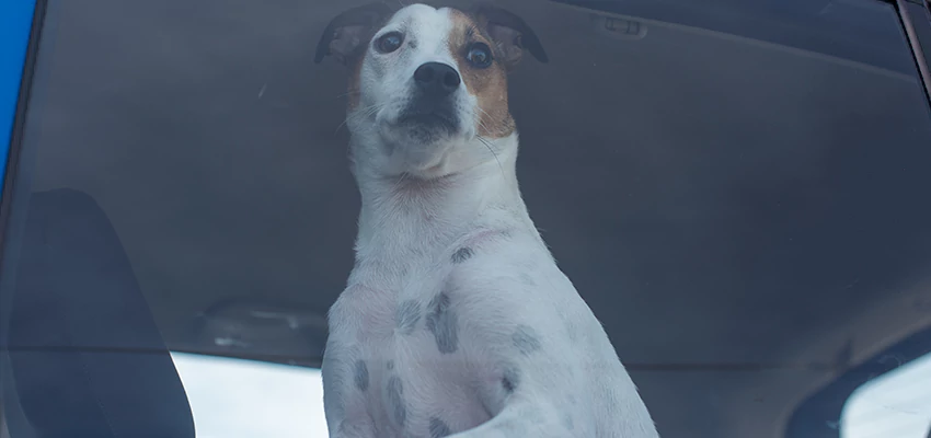 Car Lockout Solutions in South Whittier, California